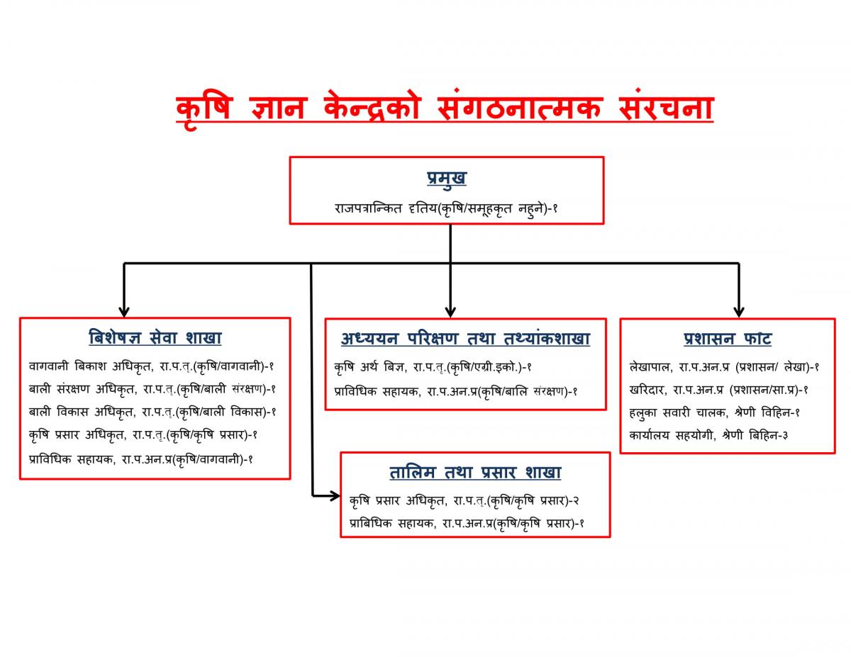 organizational structure